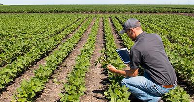 Agriculture